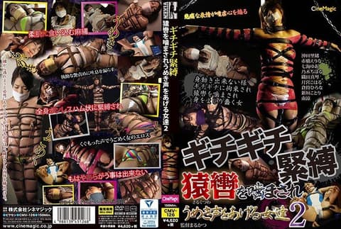 紧緻紧缚 被咬着猿辔发出声音的女性们2 CMV-126