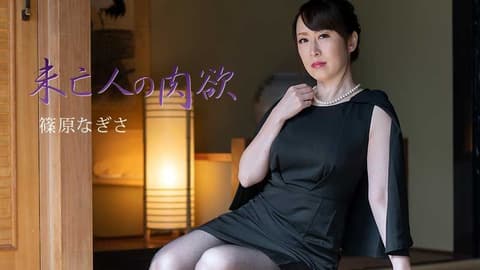 寡妇的肉慾 3 篠原渚纱 HEYZO-2511