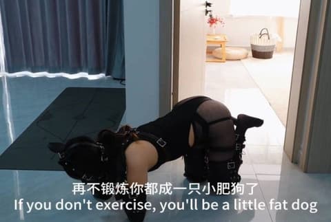 【Raymond】训练小狗狗_第一次就很高强度的技巧和体能训练